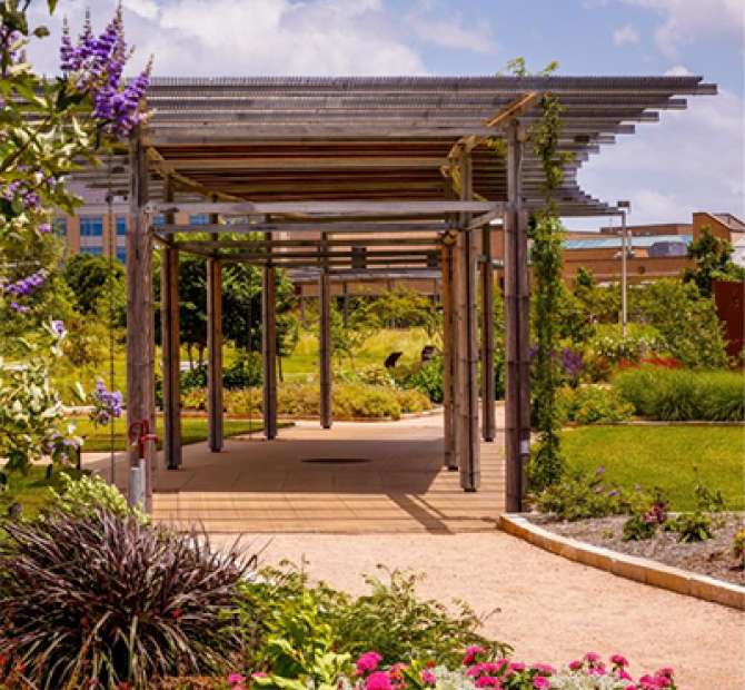 Gravel path paved through a lush garden with purple and pink flowers, covered partially by a classic wooden pergola