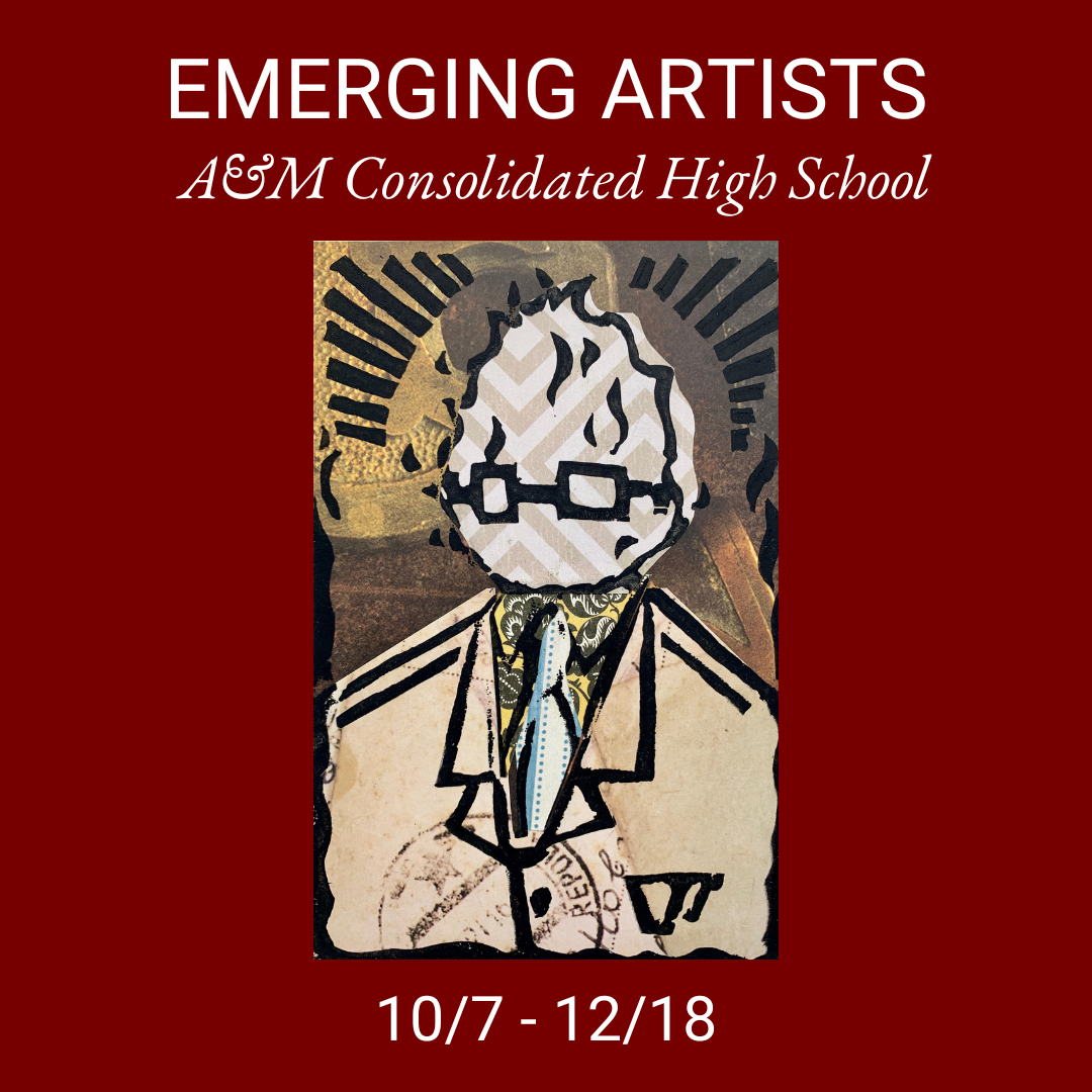 Artwork by A&M Consolidated High School Students Exhibit College Station Texas