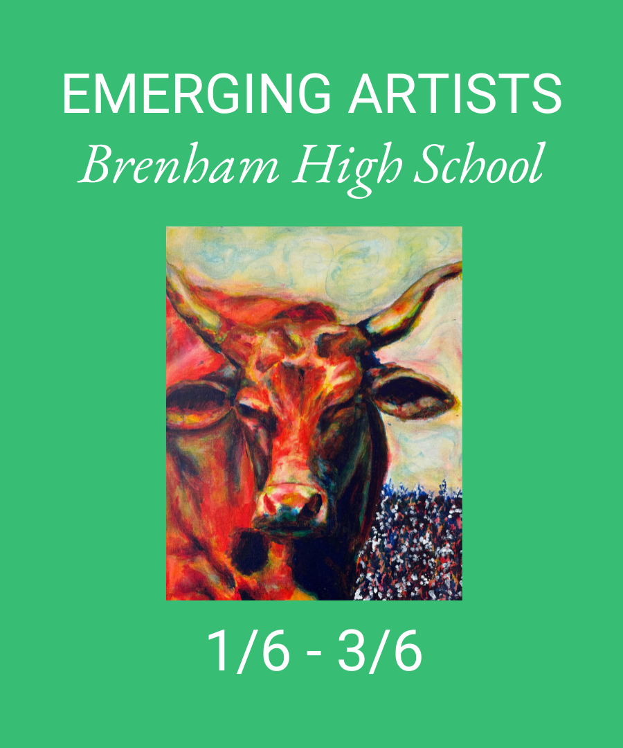 Emerging Artists Brenham High School Art Exhibit in College Station, TX