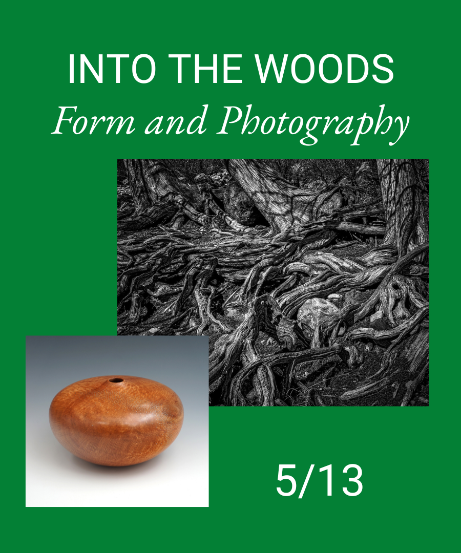 Into the Woods Form and Photography